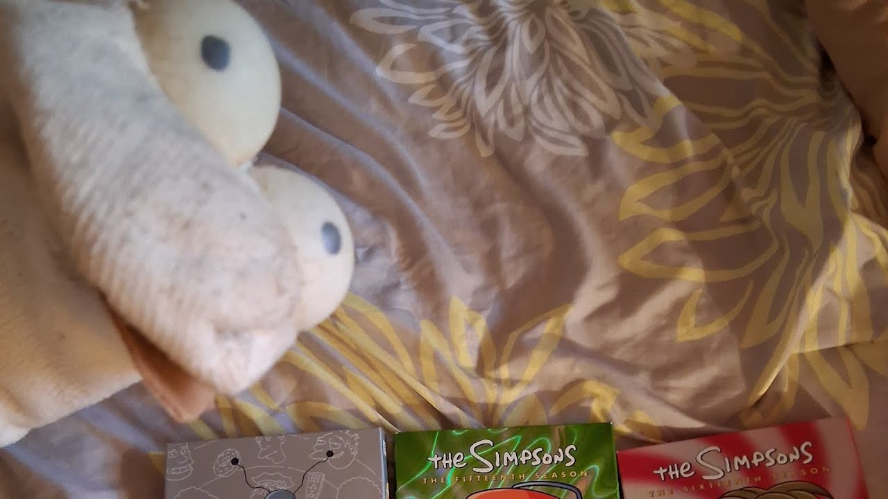 The Socko Show: Mr Gc Dream is To be a Puppeteer Like Jim Henson!