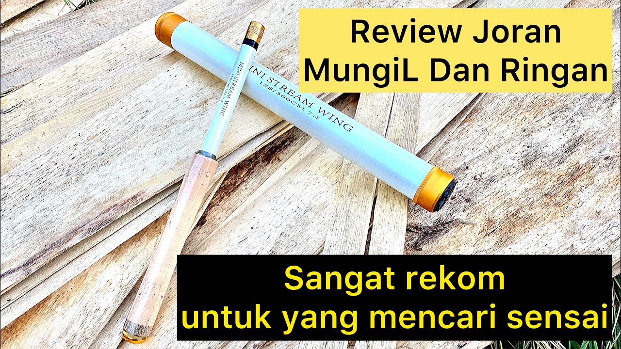 REVIEW joran MINI STREAM WING 360