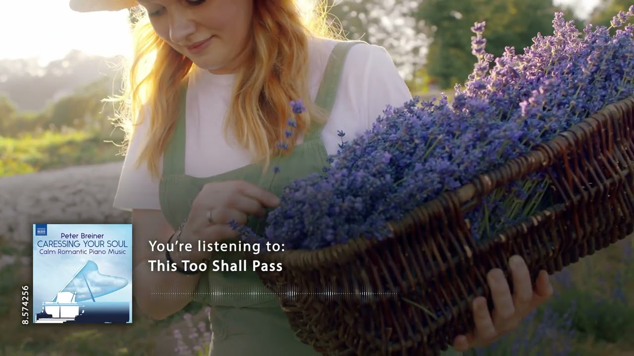 Peter Breiner: This Too Shall Pass  (music video)