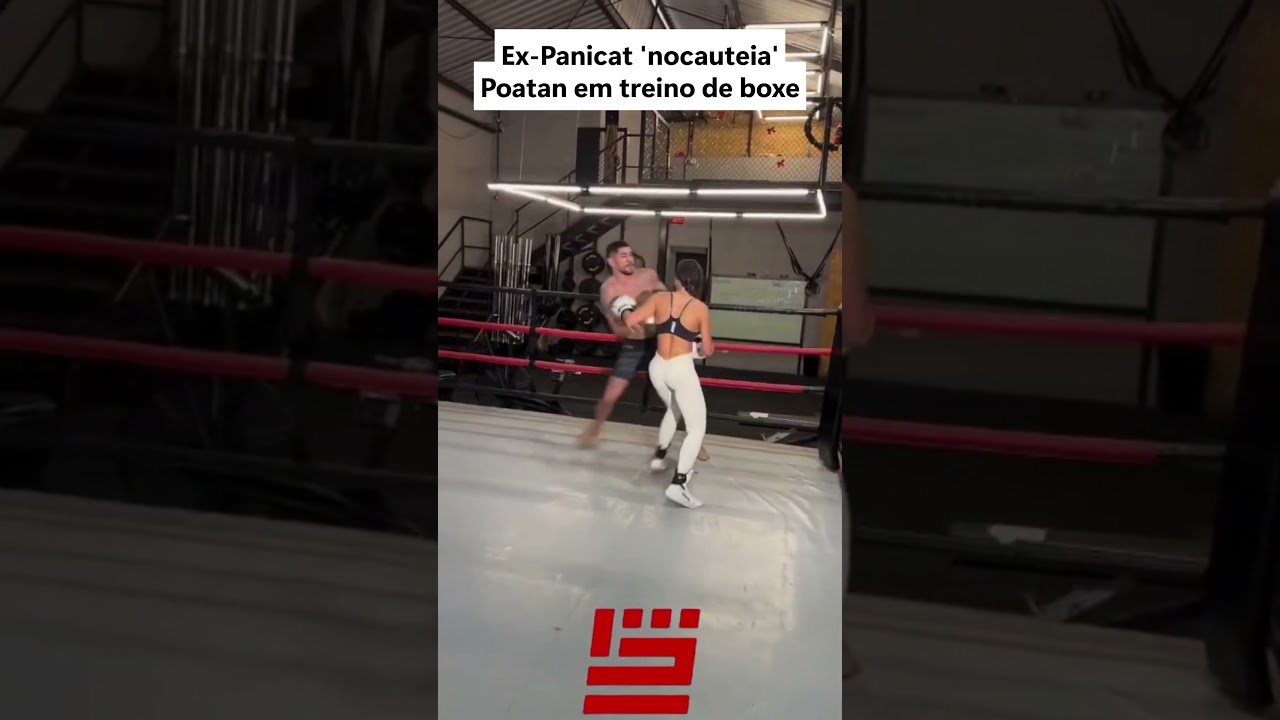 EX-PANICAT NOCAUTEIA POATAN EM TREINO #shorts #alexpoatan #ufc #mendigata #poatan #boxe