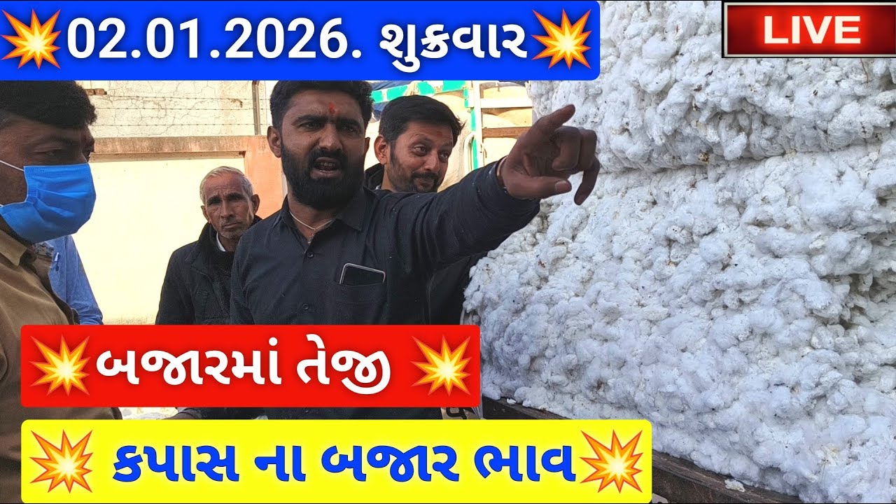 🔴live કપાસ ના બજાર ભાવ આજના જસદણ માર્કેટિંગ યાર્ડ, cotton auction price today,January 2, 2026