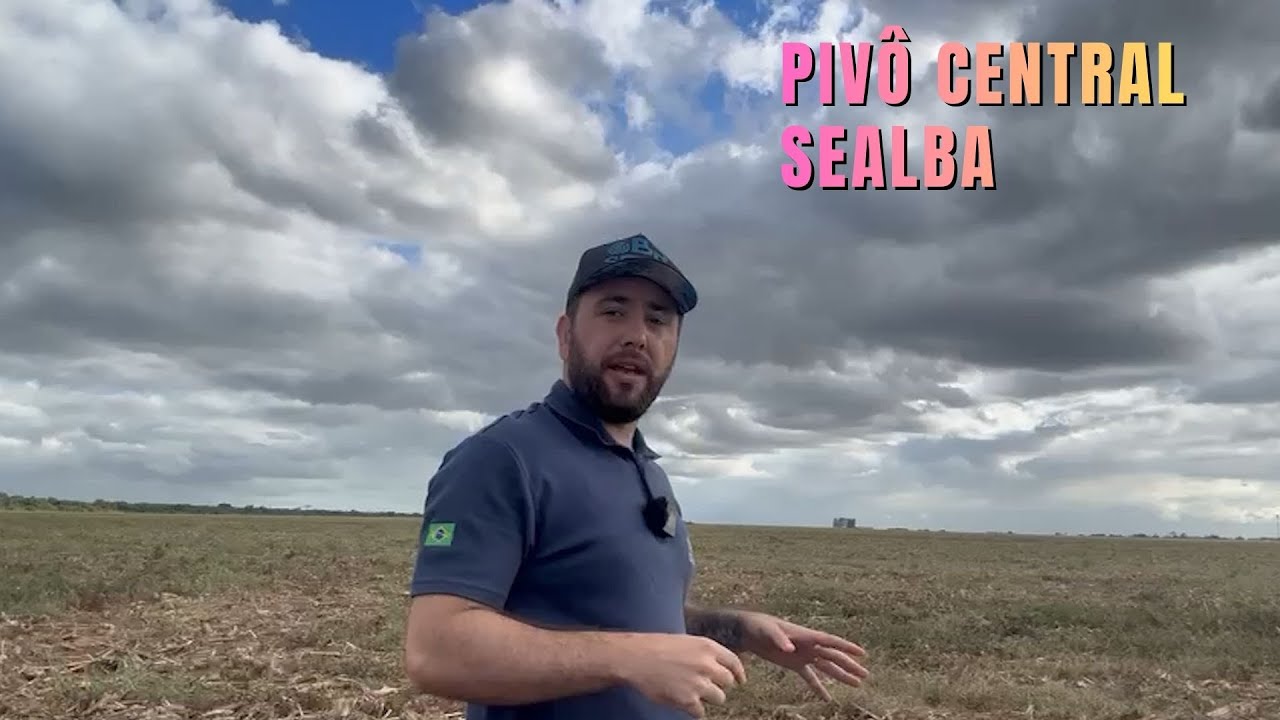 O QUE NÃO TE FALAM SOBRE A SEALBA   REGIÃO COM MUITO POTENCIAL