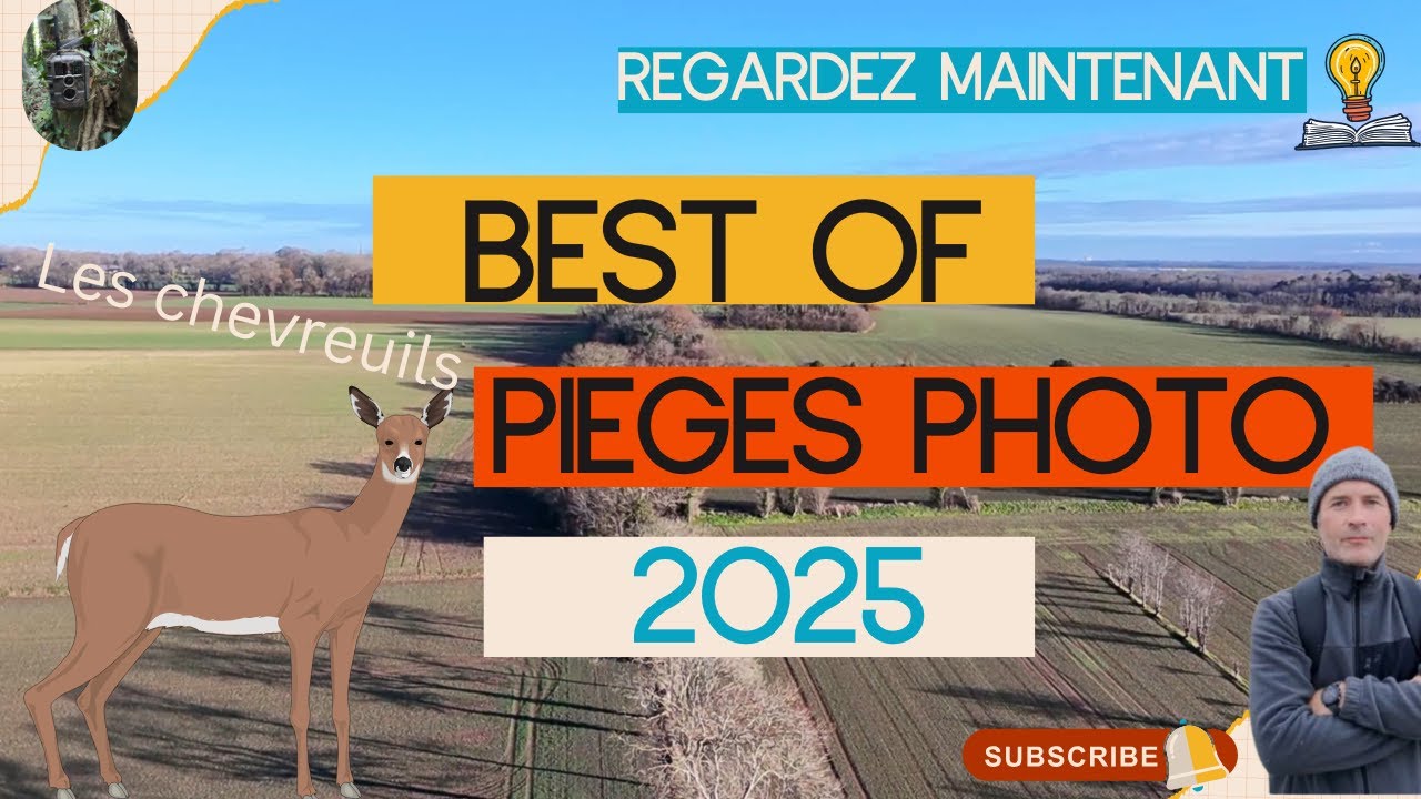 BEST OF 2025 d'observations de la faune sauvage à l'aide de caméras pièges photo :  les chevreuils.
