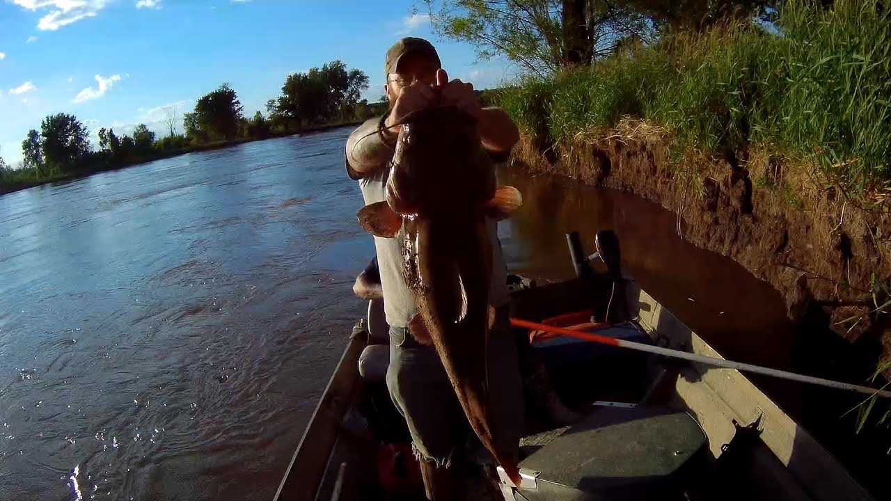 205+ Pounds of Catfish On Diddy Poles - A Weekend For The Books!