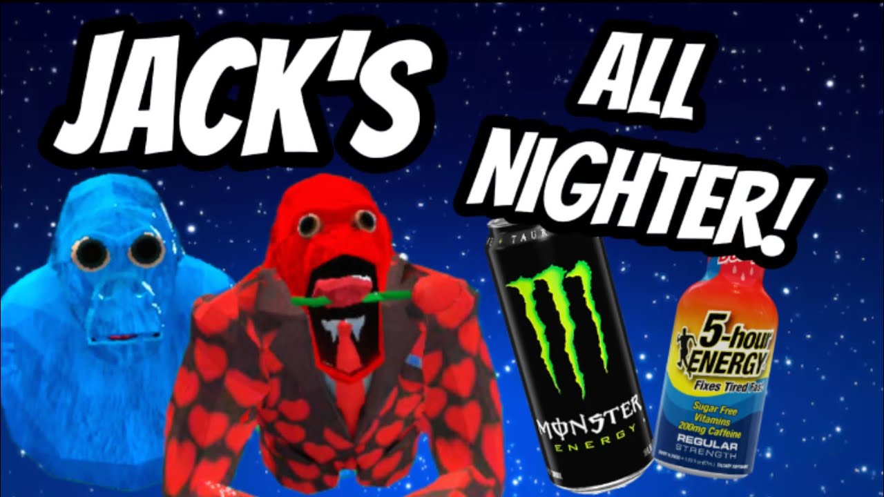Jacks FIRST All Nighter In Animal Company… (Gone Wrong) 