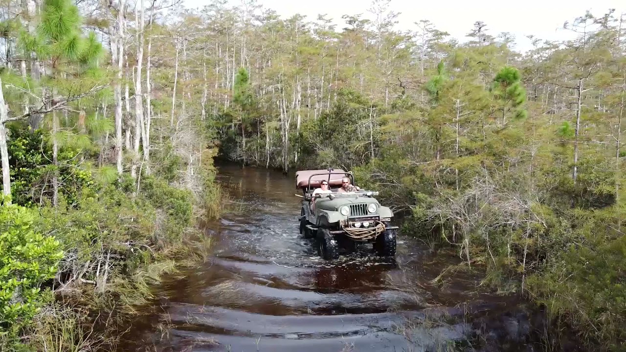 Big Cypress Buggy Ride