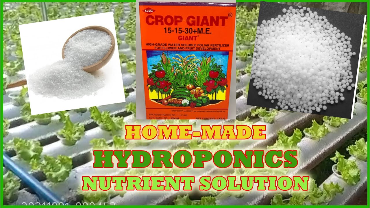 HOME-MADE HYDROPONICS NUTRIENT SOLUTION/MAS MURA AT MADALING GAWIN
