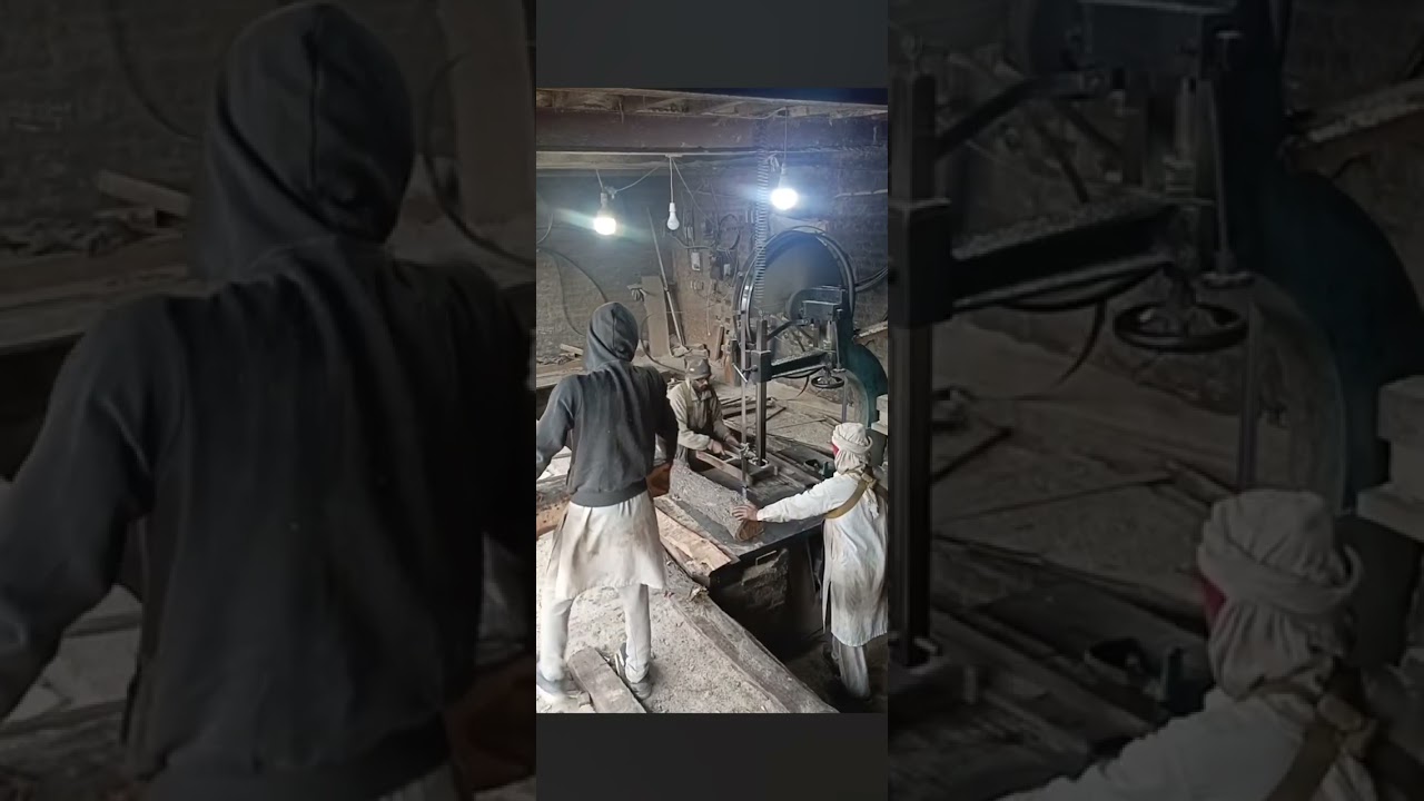Wood SAWMILLING Highlights |Wood Workshop|