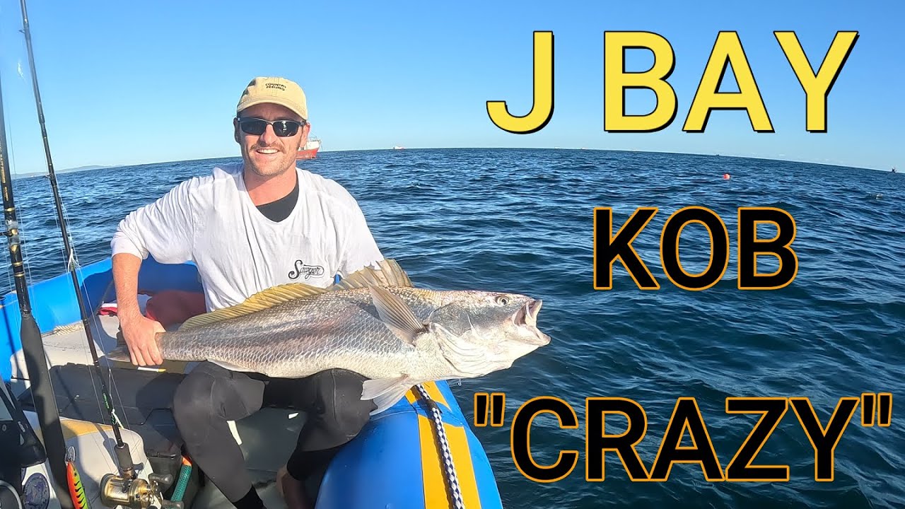 Хаос в заливе Джей-Бей и налогообложение больших белых акул