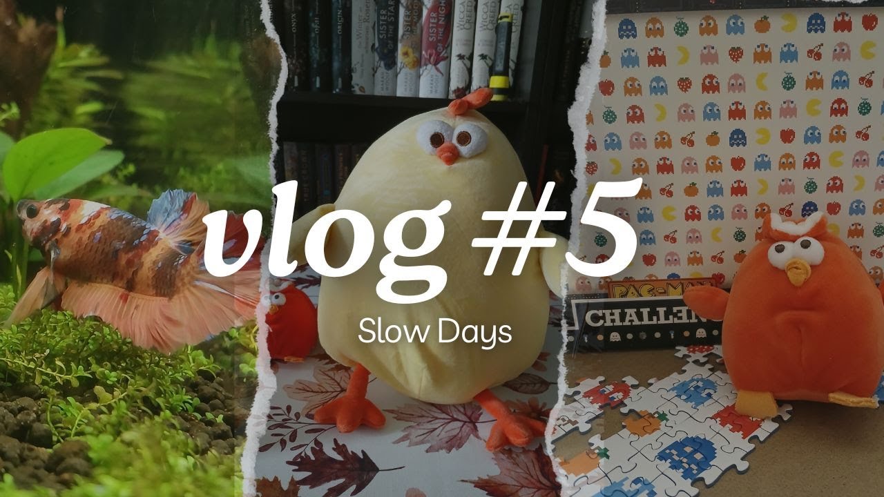 Vlog#5 Slow Days 🦥 | Meet Mango, Miniso Dundun Chicken Unpacking, Final Fantasy XIV & More
