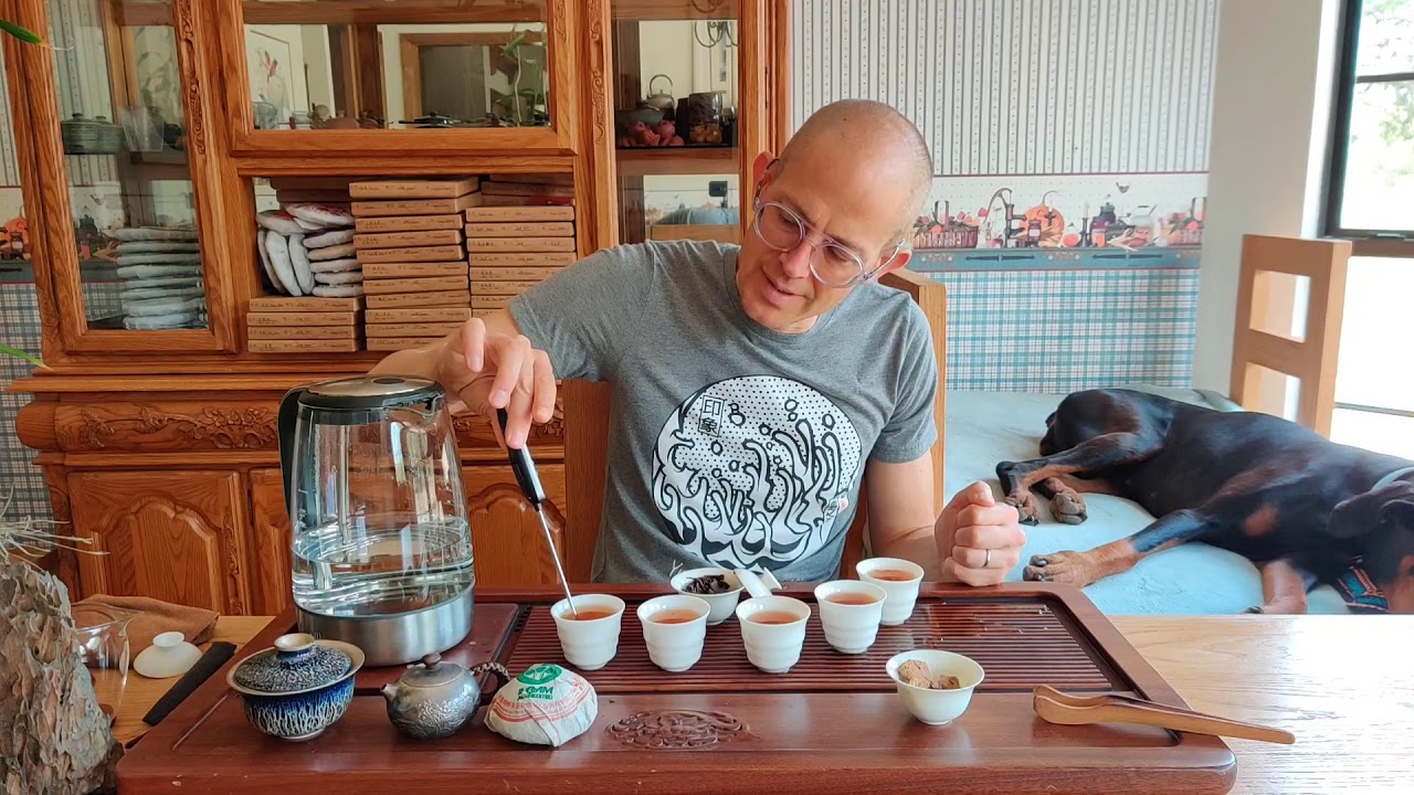 Scott Drinks the 2005 Nan Qiao Ban Zhang Organic Raw Pu-erh Tea Tuo