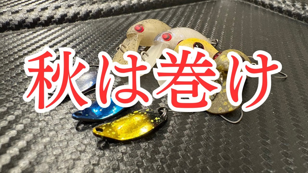 【エリアトラウト】スプーンとクランクで遊ぶ秋のエリア攻略！