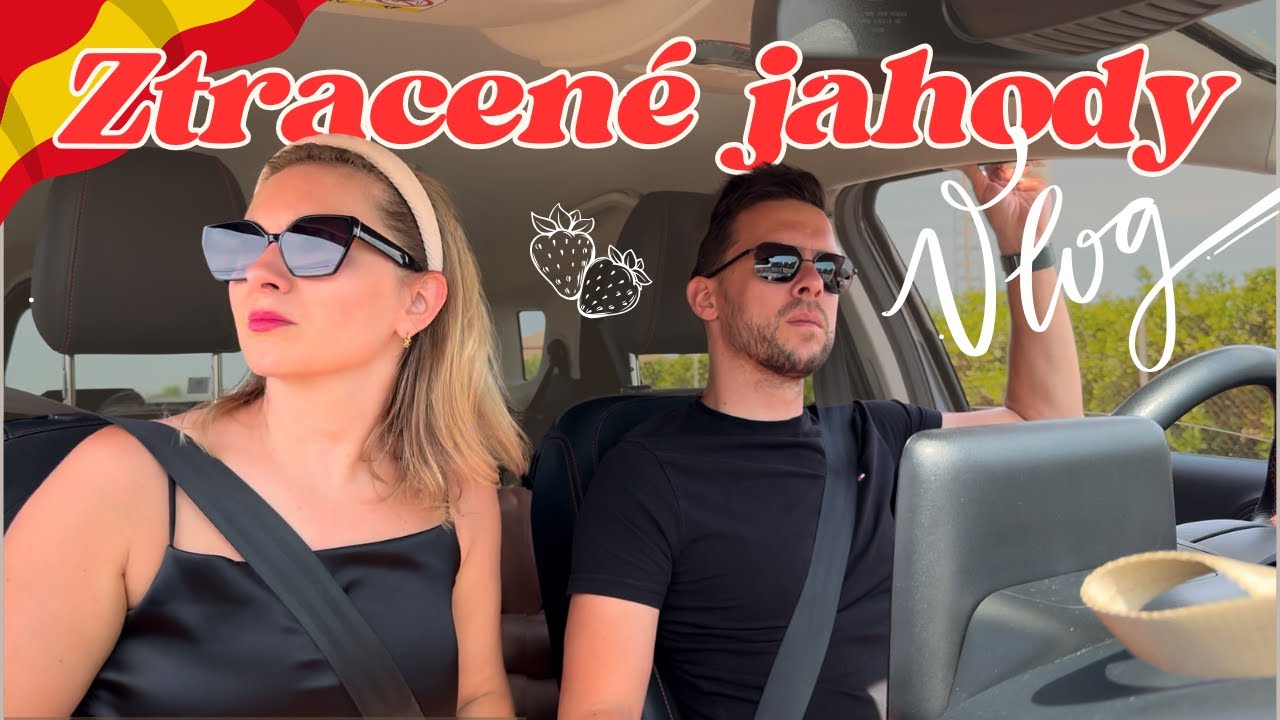 HLEDALI JSME JE MARNĚ | Lemon Tree Market | Time for Mommy