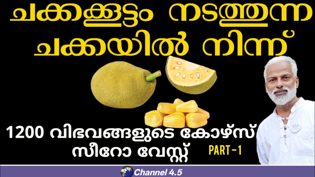 ചക്കക്കൂട്ടം നടത്തുന്ന ചക്കയിൽ നിന്ന് 1200 വിഭവങ്ങളുടെ കോഴ്സ്, ചക്കയിൽ സീറോ വേസ്റ്റ്.Part - 1