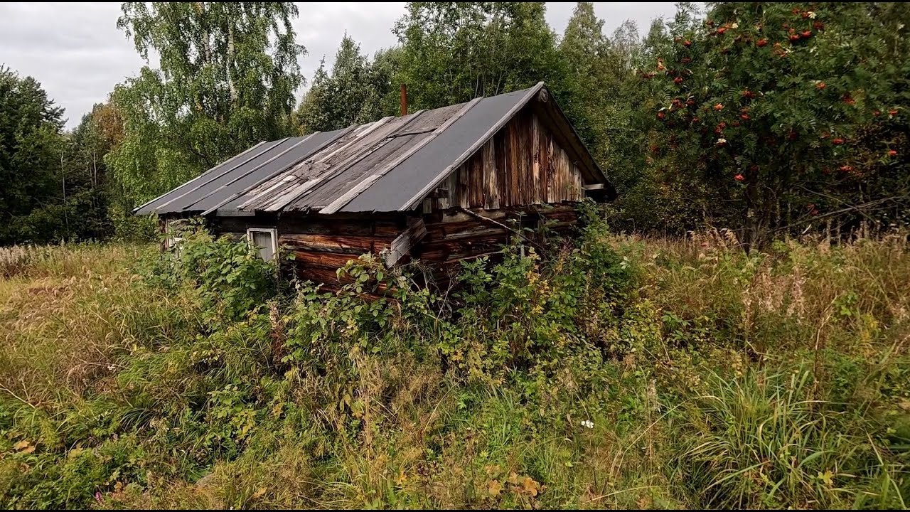 НАШЁЛ ТРУП В ИЗБЕ, ЧТО ДЕЛАТЬ? ПОХОД ПОШЁЛ НЕ ПО ПЛАНУ. СТАРАЯ ИЗБУШКА С СЮРПРИЗОМ. ОХОТНИК В ШОКЕ