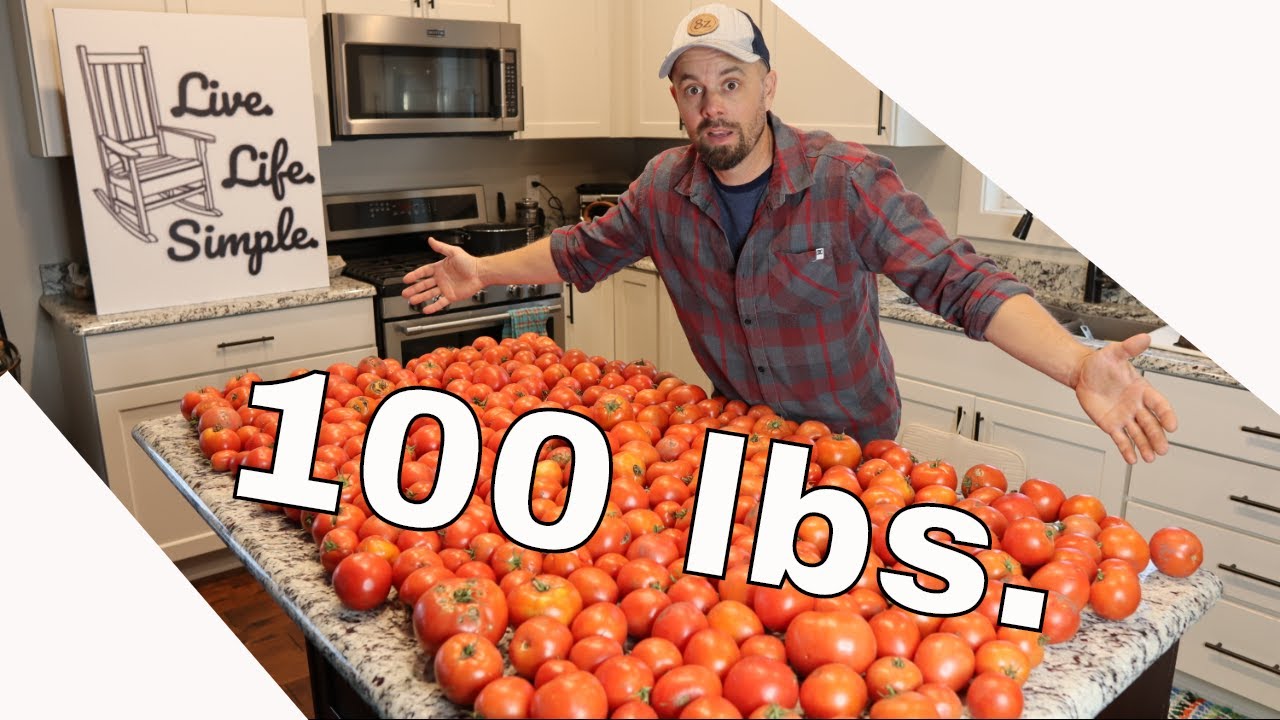 Сублимированный томатный соус, сок, суп, сублимированная сальса #freezedriedtomatoes