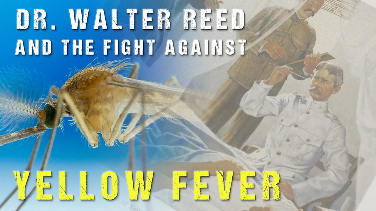 Walter Reed and the Fight Against Yellow Fever  | Medical History with Dr. Brown