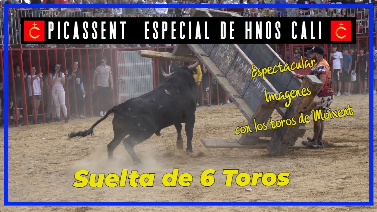 🆑 Picassent 21▪ 05 ▪ 23 Especial 6 Toros  de la Ganadería de Hnos Cali 🆑