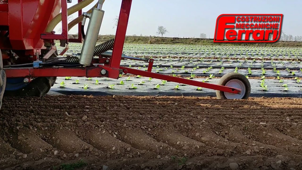 Ferrari FPC Transplanter – Film & Transplant in one pass