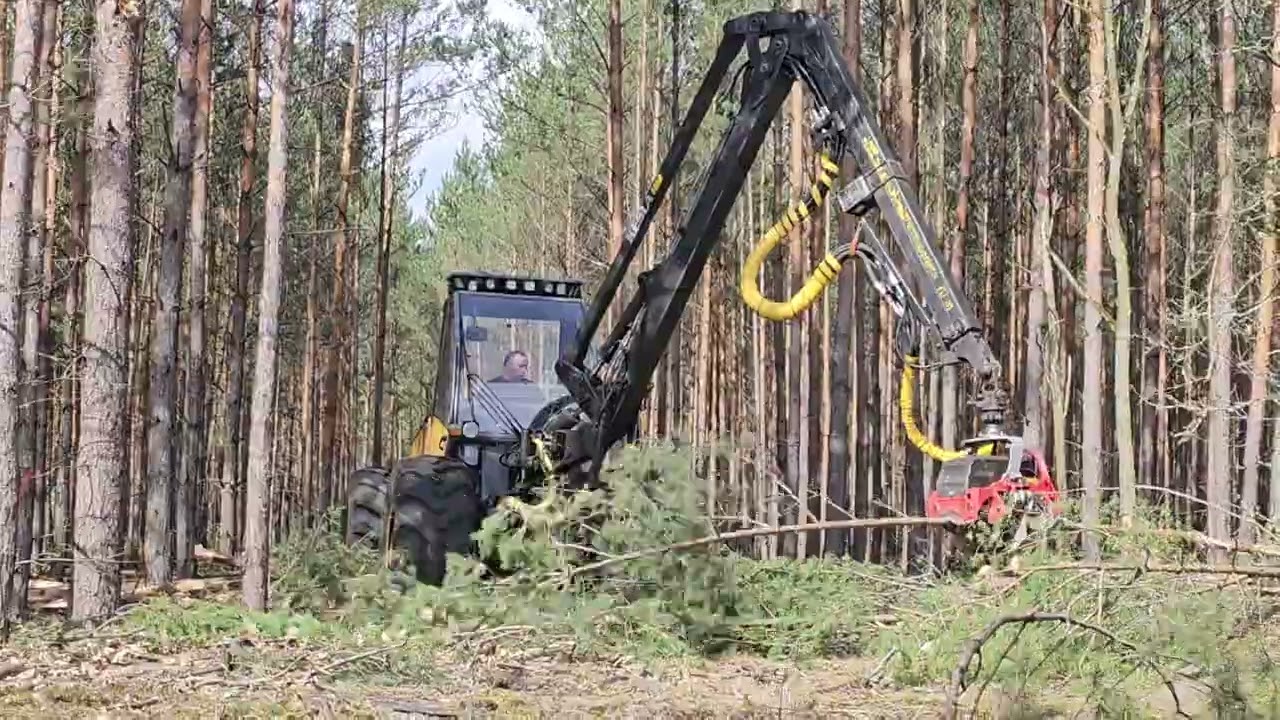 sampo 1046 nisula 425 trzebież