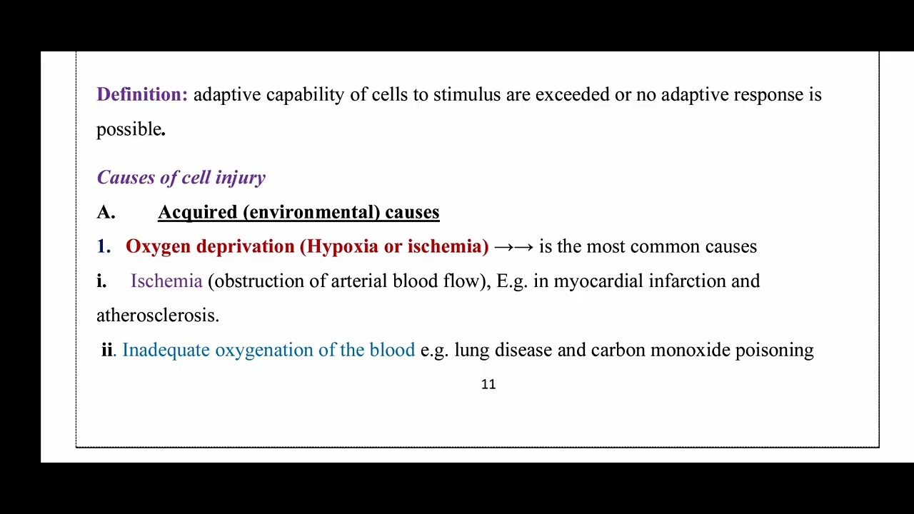 Cell Injury 1