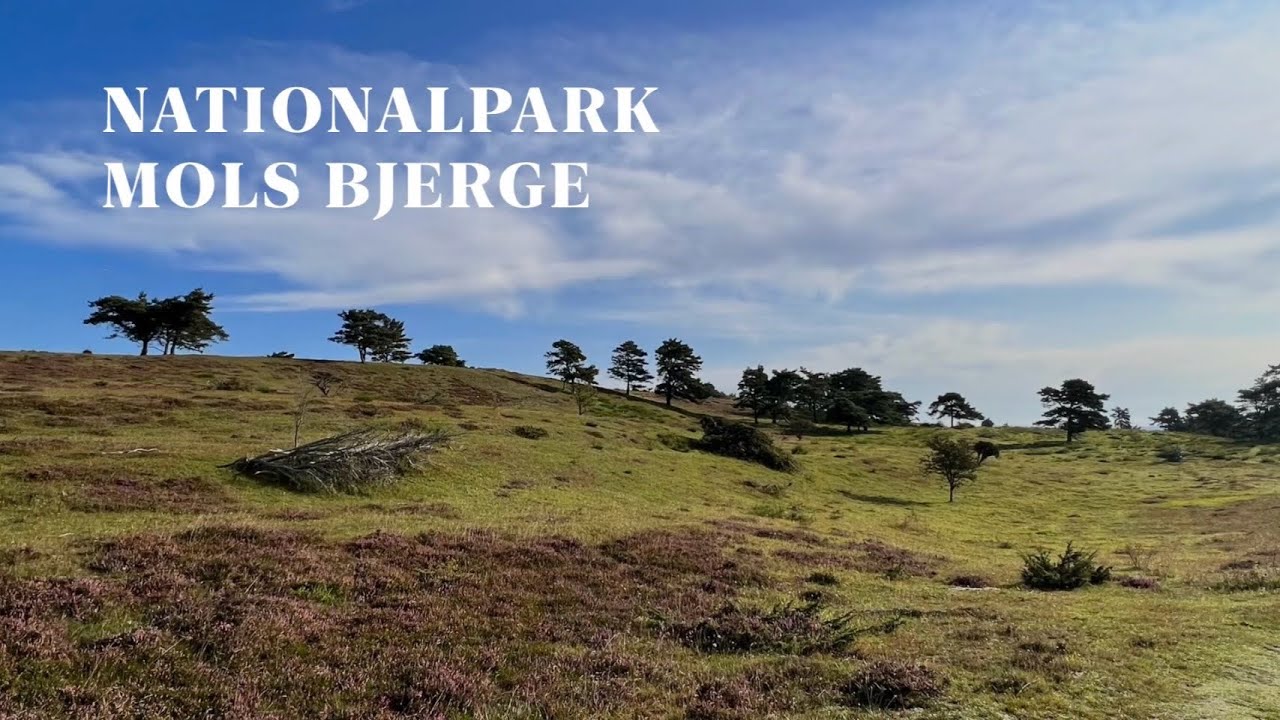 🇩🇰 Durch Mols Bjerge