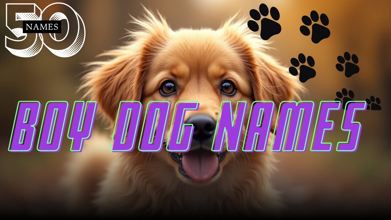 50 Best Boy Dog Names 🐾 | Unique, Cute & Popular Male Puppy Names