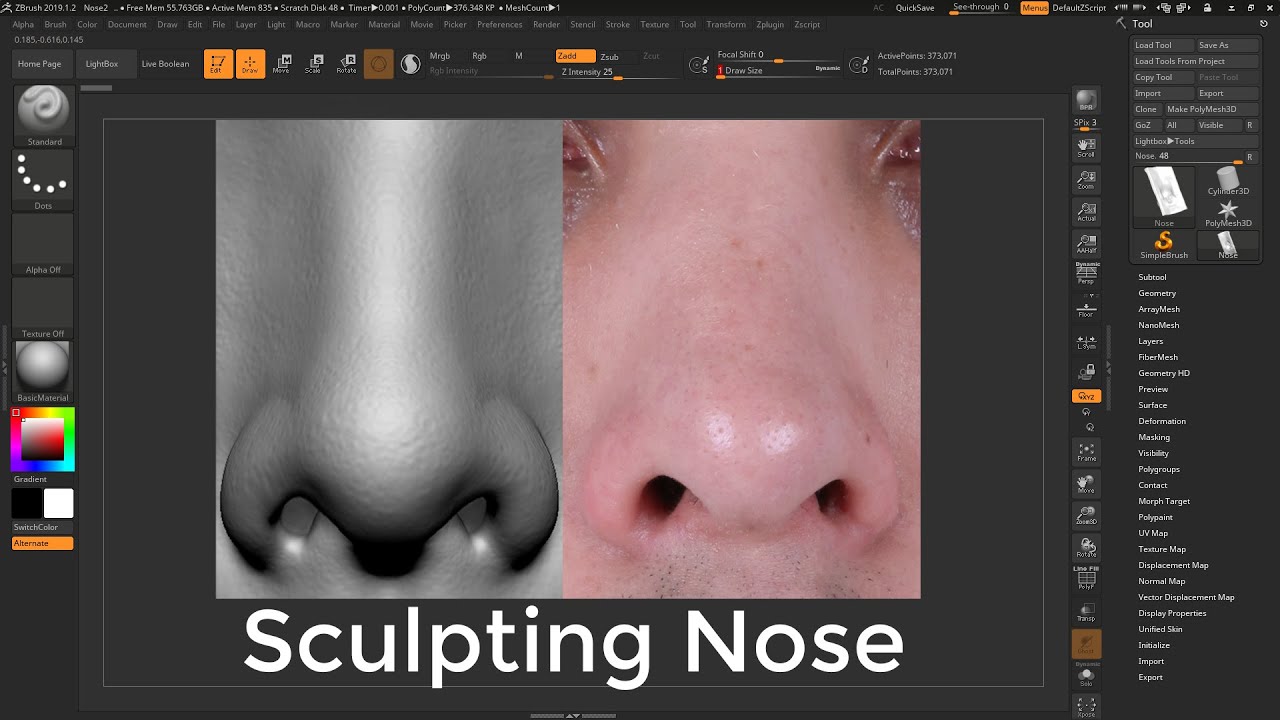 Let's Sculpt Nose Together