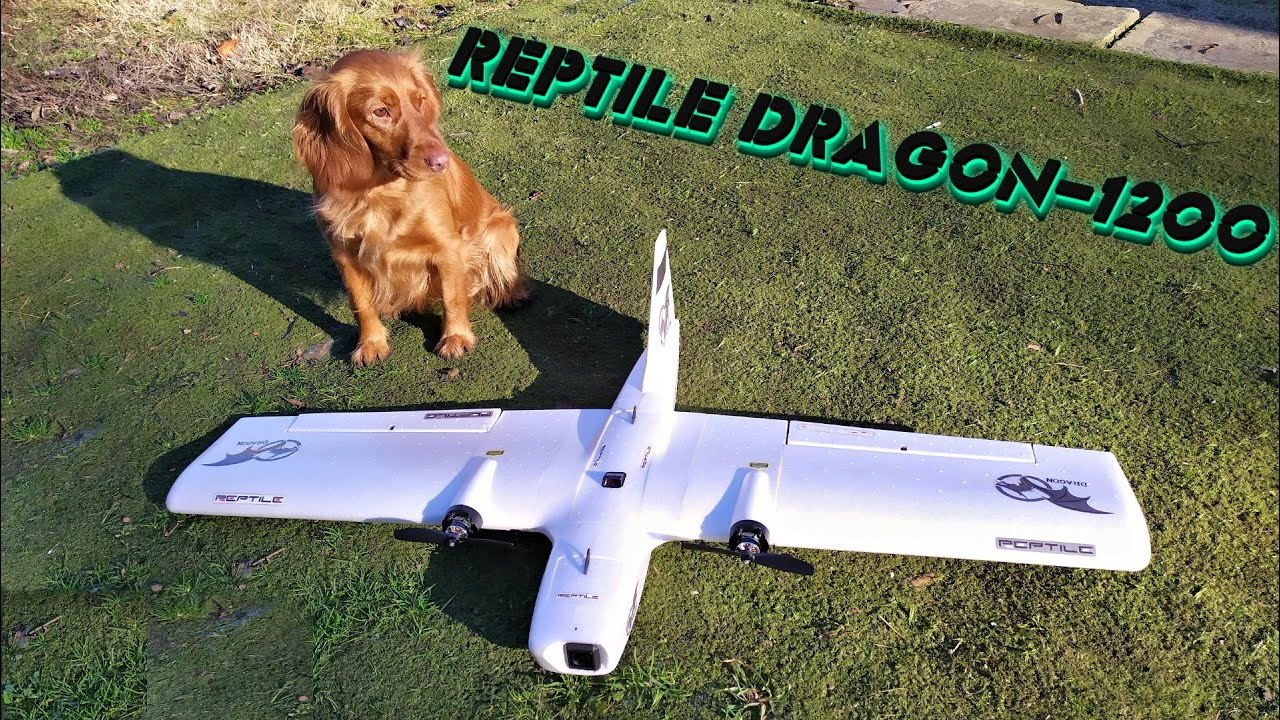 REPTILE DRAGON-1200 Раскаробинг-сборинг.