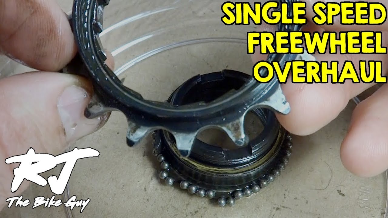 Single Speed Freewheel Overhaul - Disassembly/Assembly