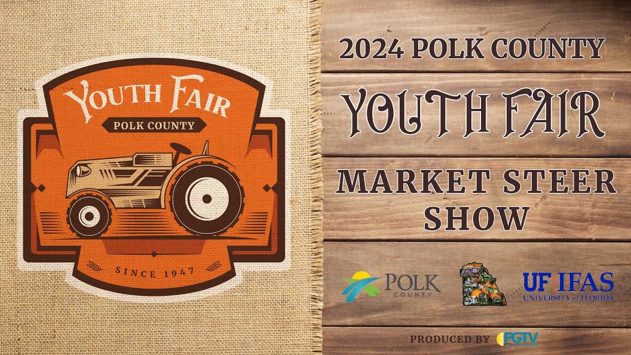 2024 Youth Fair Market Steer Show (American)