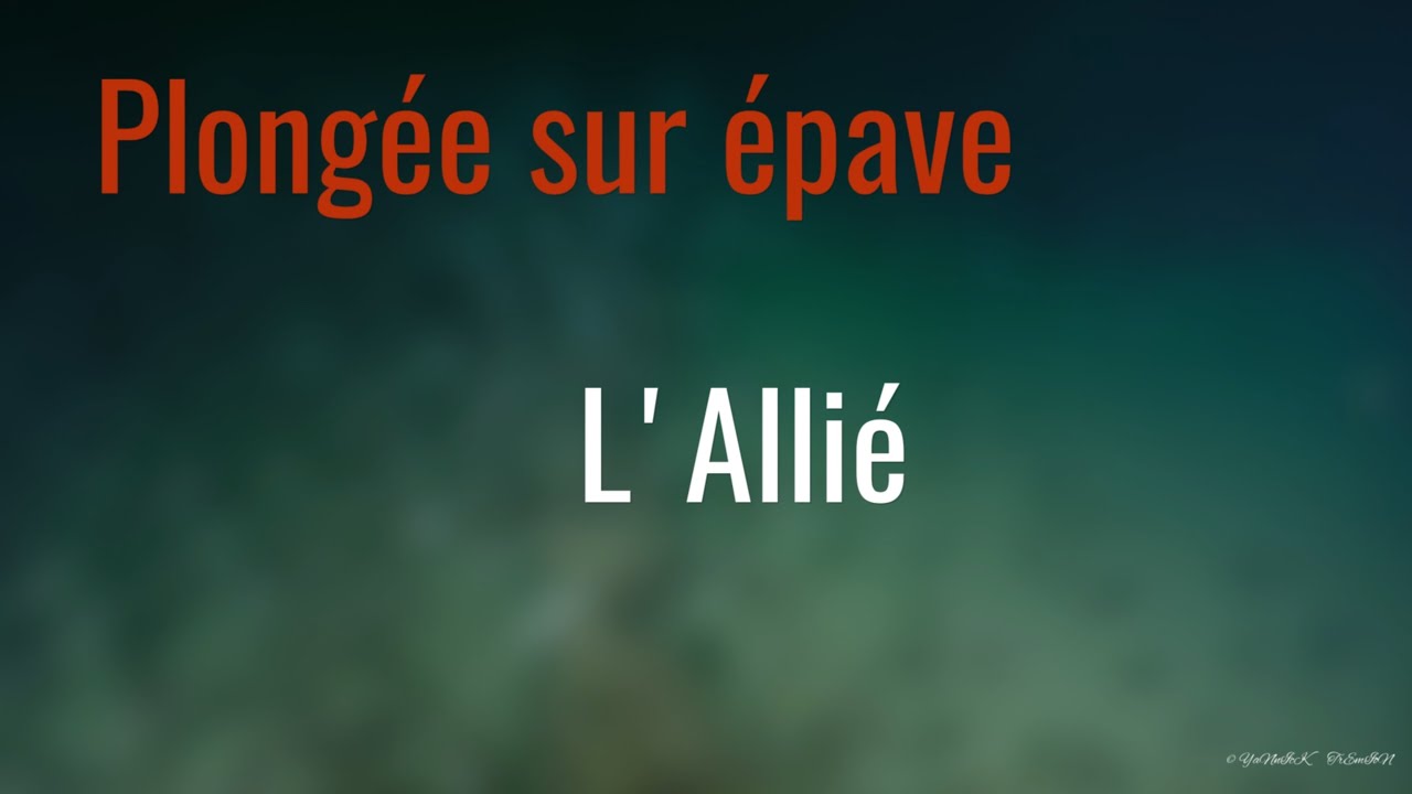 Wreck Diving L'Allié