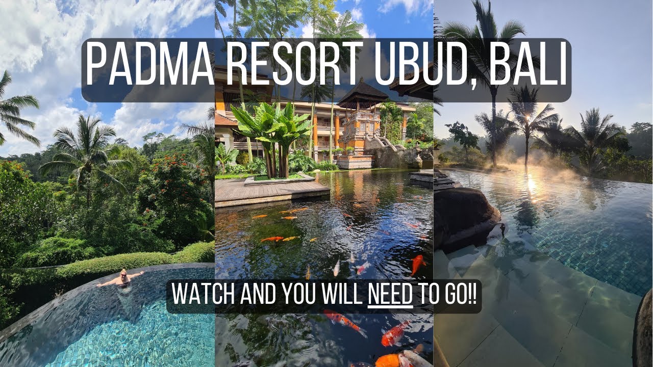Padma Resort Ubud, Bali. 4k Resort Tour. Escape to your perfect mountain getaway!