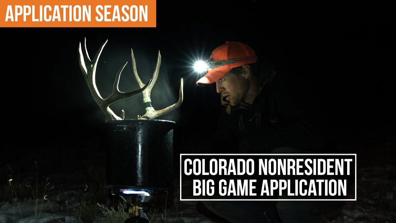 How to Apply For Big Game Hunts in Colorado | 2025 Application Season!