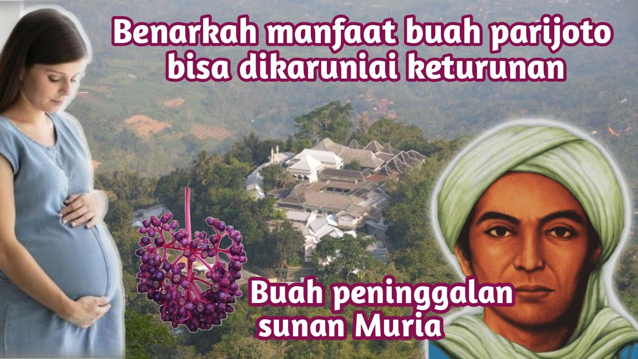 Sunan Muria dan mitos buah parijoto