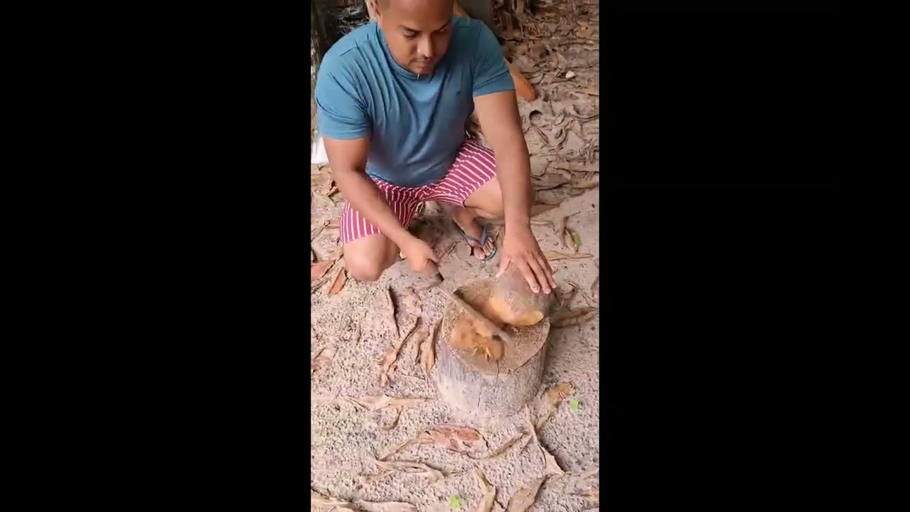 🥥 Coco ralado caseiro 🌾