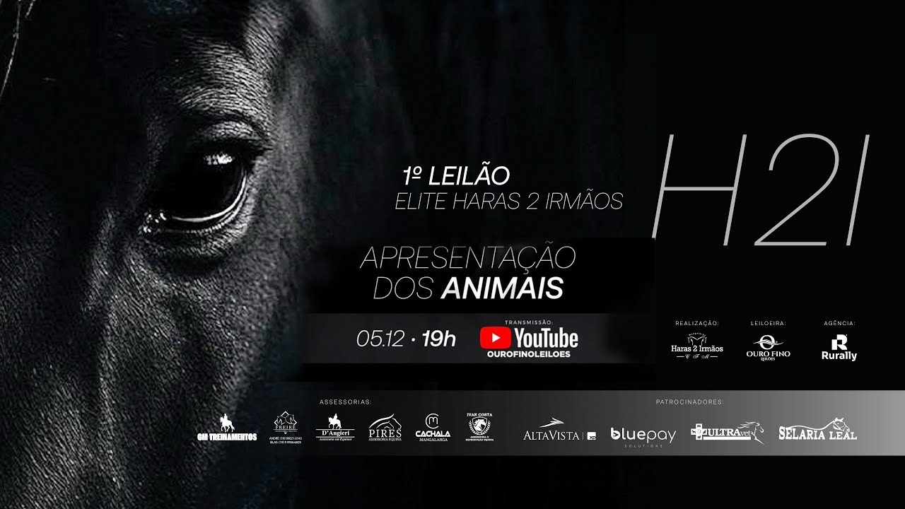 📍LIVE - Leil&atilde;o Haras 2 Irm&atilde;os - Ouro Fino Leil&otilde;es
