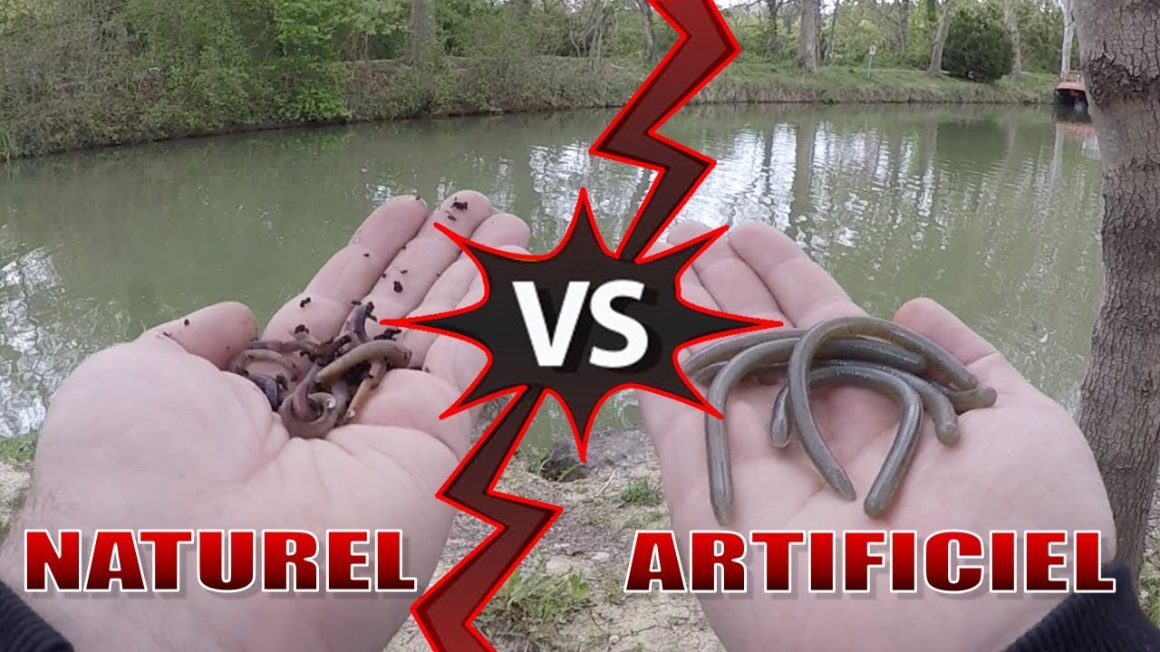 Ver Naturel VS Ver Artificiel ( Gros poisson) - D&eacute;fi P&Ecirc;CHE