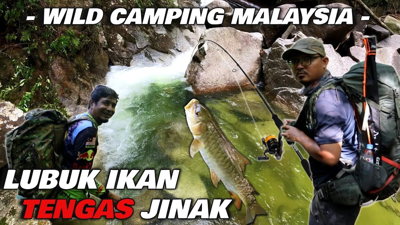 Berburu Di Lubuk Sungai Pergunungan | Wild Camping Malaysia | Catch & Cook | Camping Hujan Deras