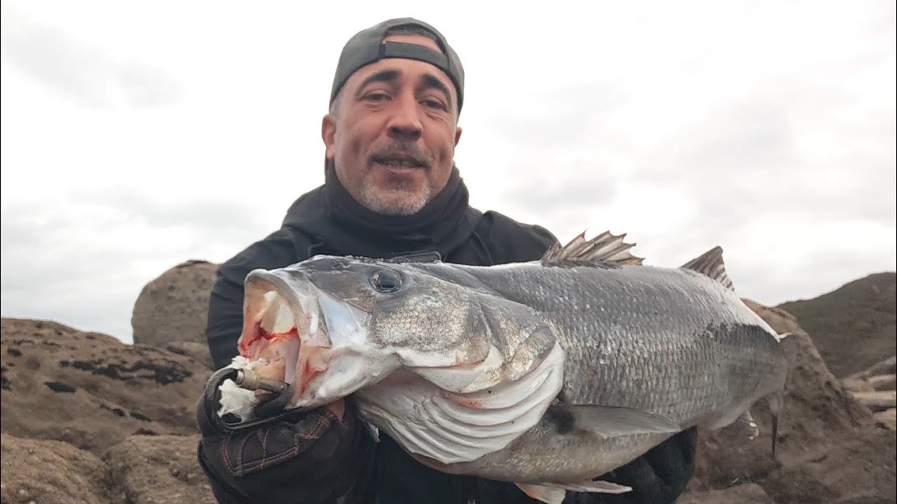 Primera lubina XXL con la nueva normativa de pesca. A la espera de PescaREC