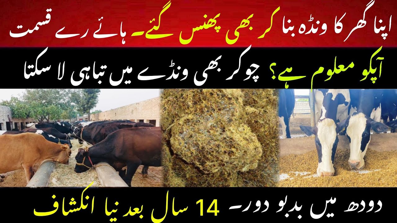 Home made wanda problems II Treatment of smell in milk II Dr. Muzzammil