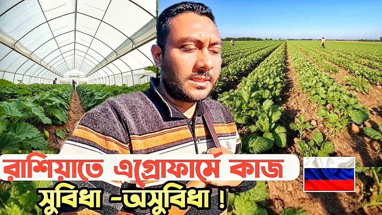 রাশিয়াতে ফার্মের কাজ — স্বপ্ন নাকি কষ্টের জীবন?  @KQdailyvideo