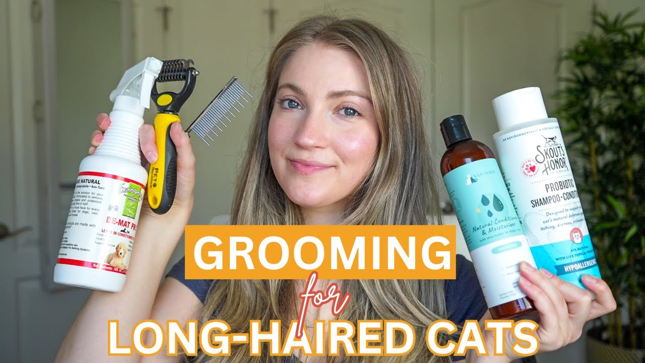 Grooming Essentials For Long-Haired Cats (Best Products To Prevent & Treat Matting)