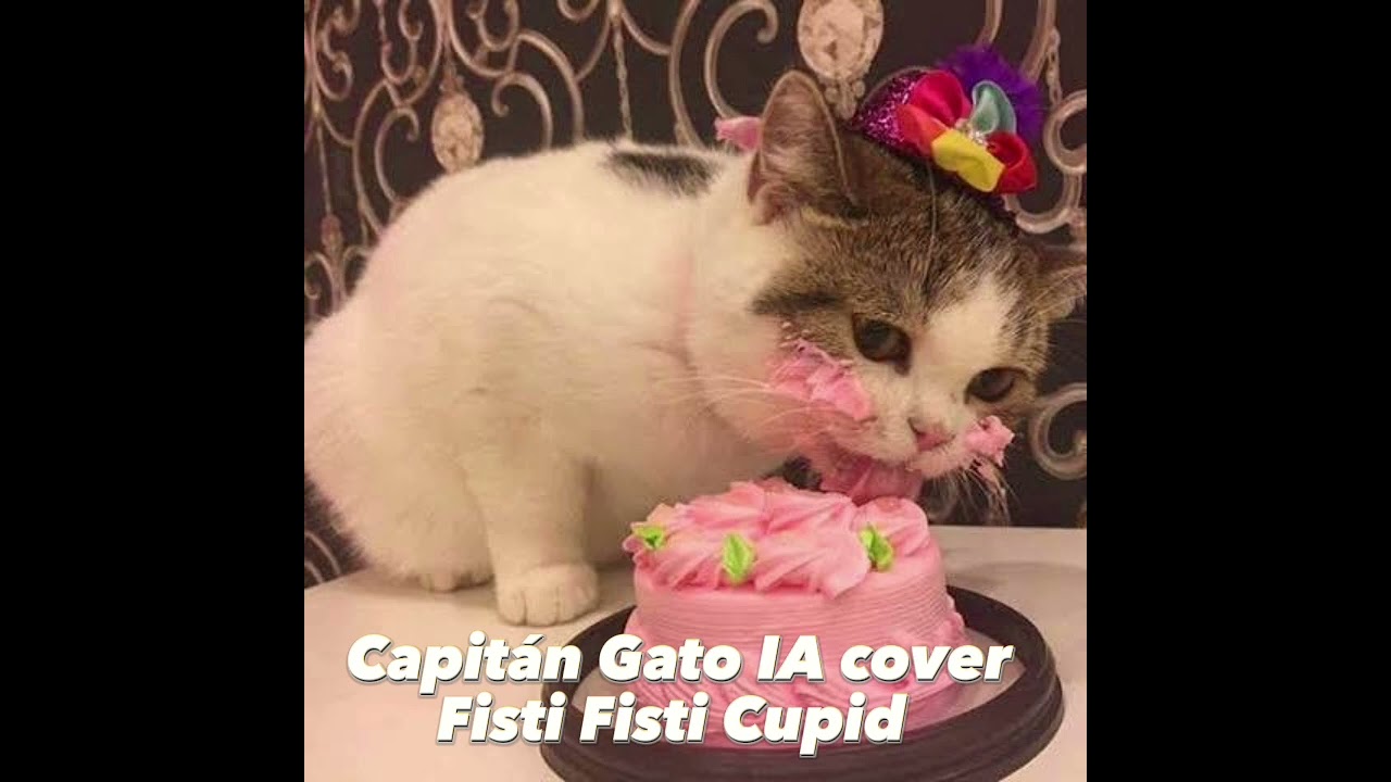 Capitán Gato IA cover - Fisti Fisti Cupid
