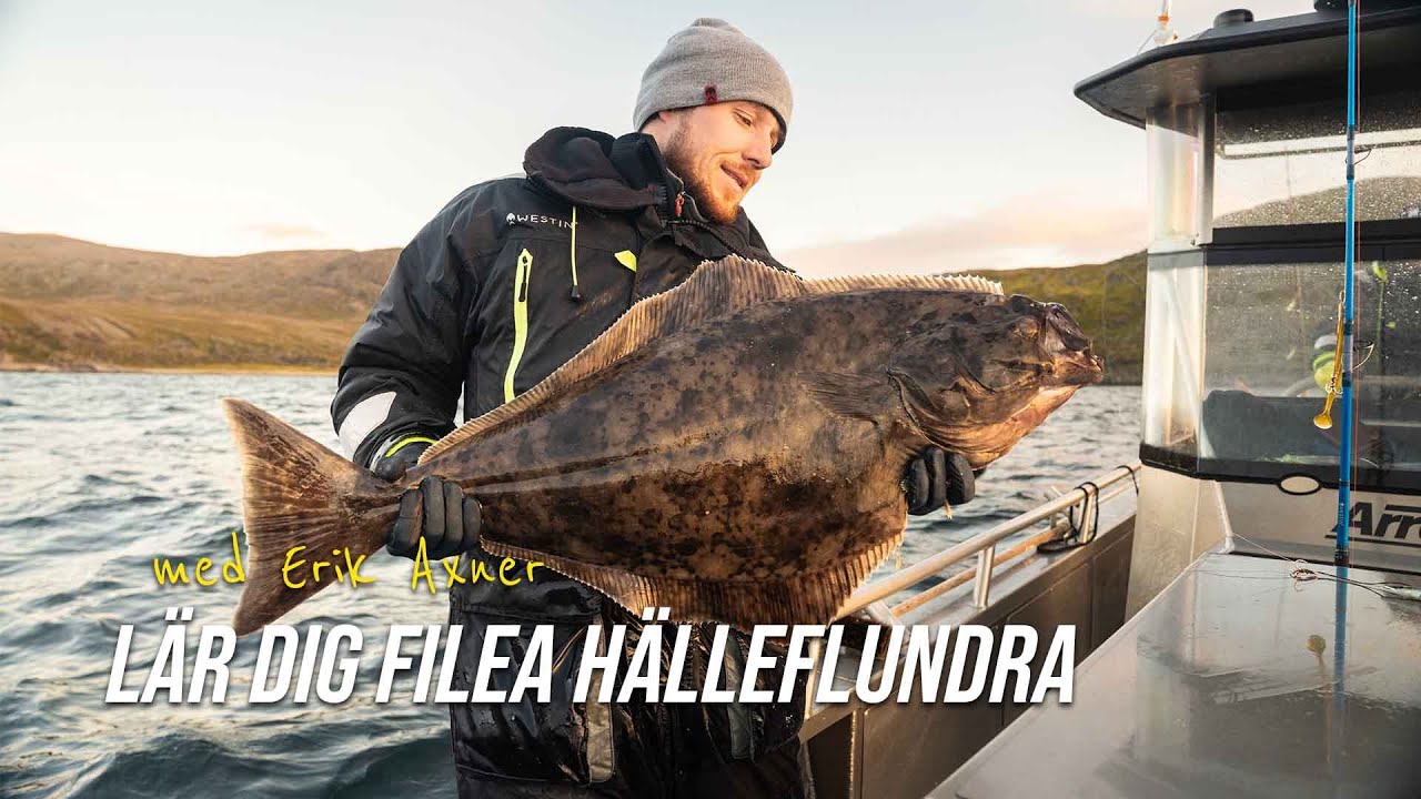 Så filear du hälleflundra – tips från Erik Axner (Nordic Sea Angling)