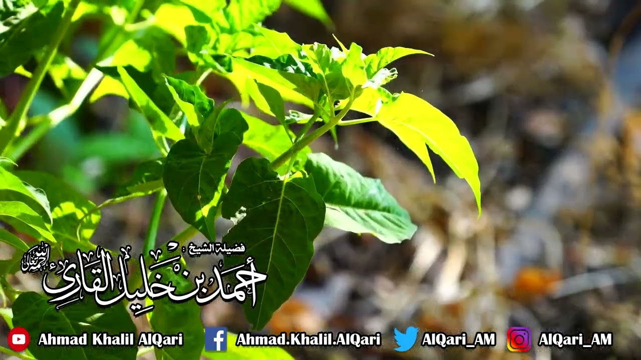وصايا لقمان تلاوة بديعة الشيخ أحمد خليل القارئ رحمه الله