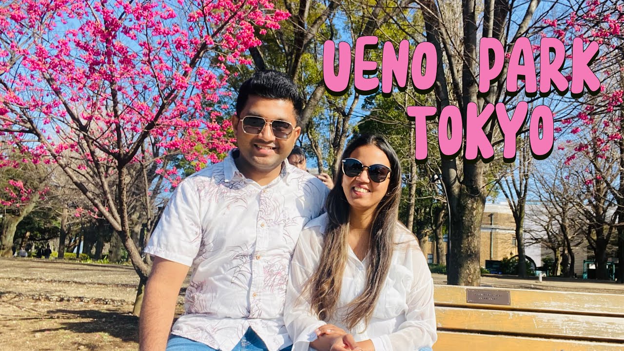 සකුරා වසන්තයට කලින් ගිය ගමන | Ueno Park Before Sakura Season | What Tokyo Looks Like Before Hanami 🌸