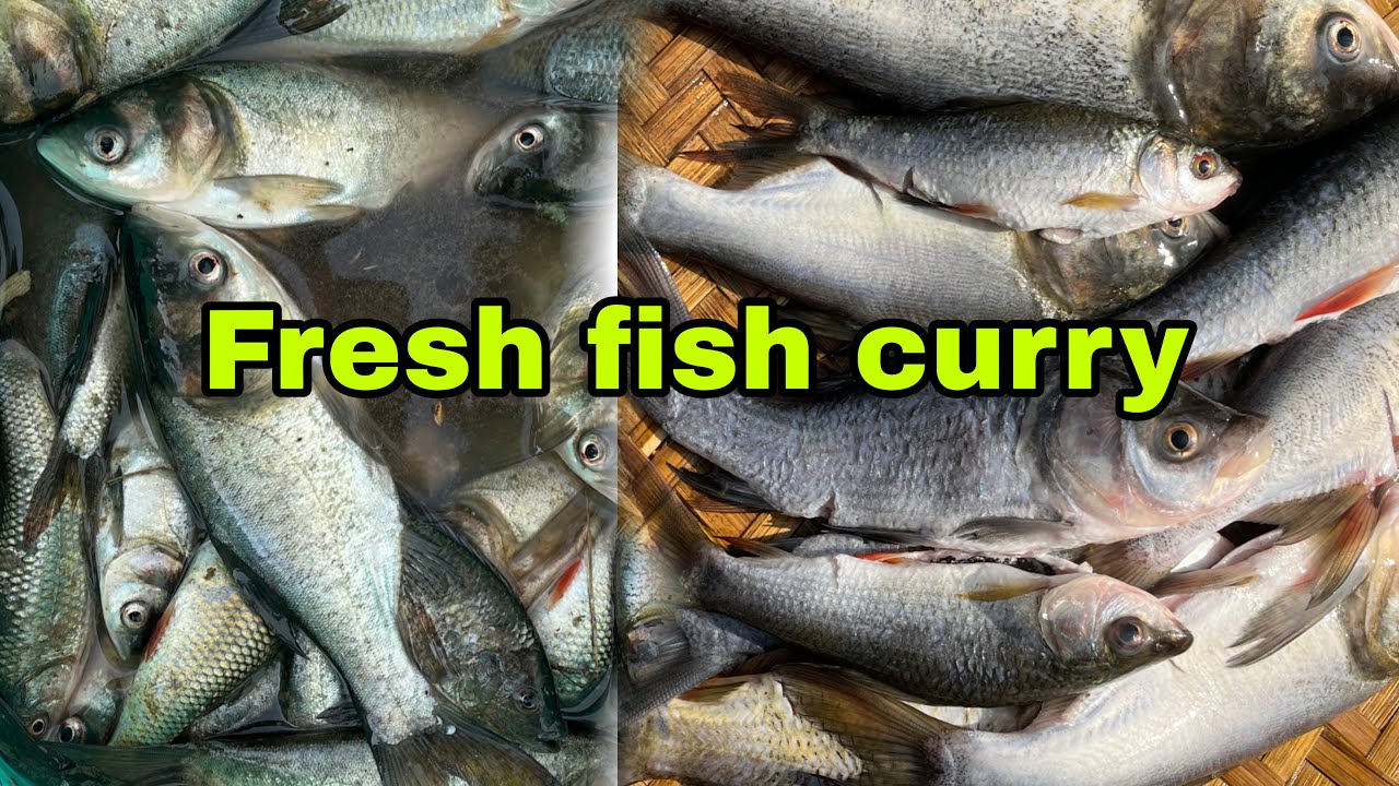 Fresh fish curry .|| dumka || 