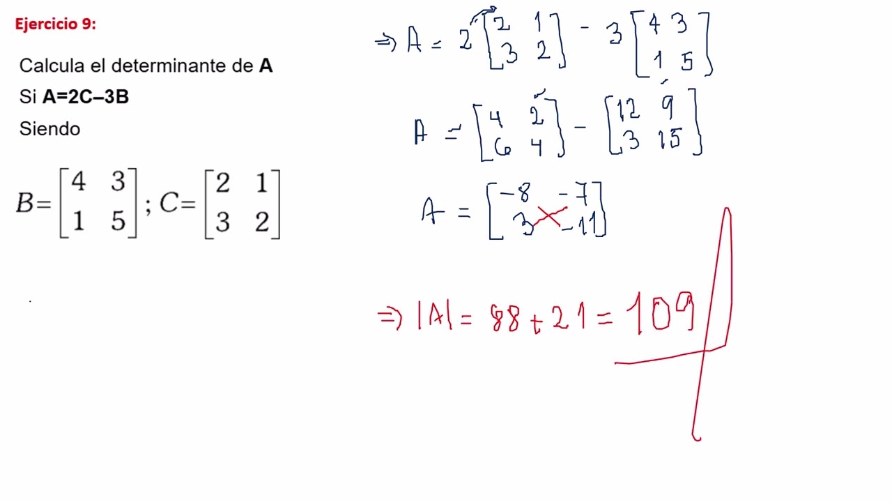 Ejercicios extras 8; 9 y 10   DETERMINANTES