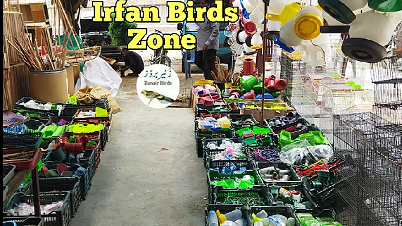 Complete birds accessories in Lalukhet Birds Market shop|برڈز کا تمام سامان مناسب ریٹ|zunair birds
